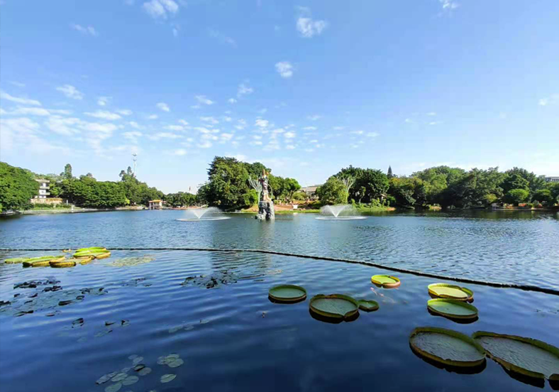佛山禪城區(qū)石灣公園水質(zhì)提升項目