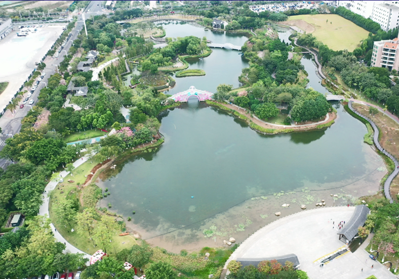 佛山市映月湖公園水體生態(tài)修復(fù)項目